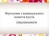 Взуттьовик з індивідуального пошиття взуття. Спецтехнологія