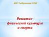 Развитие физической культуры и спорта