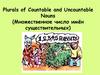 Plurals of Countable and Uncountable Nouns (Множественное число имён существительных)