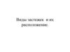 Виды застежек  и их расположение