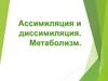 Ассимиляция и диссимиляция. Метаболизм