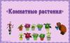 Комнатные растения