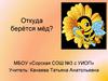 Откуда берётся мёд?