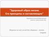 Здоровый образ жизни. Его принципы и составляющие