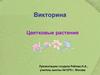 Цветковые растения. Викторина