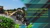 Центр по сапропелю. Производство гуминовых удобрений и гуматов из сапропеля оз. тонлесап