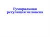 Гуморальная регуляция человека
