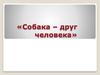 Собака - друг человека