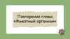 Повторение главы «Животный организм»