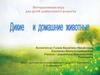 Интерактивная игра для детей дошкольного возраста "Дикие и домашние животные"