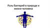 Роль бактерий в природе и жизни человека