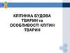Клітинна будова тварин та особливості клітин тварин