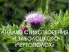 Анализ стихотворения Н. Заболотского "Чертополох"