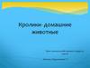 Кролики - домашние животные. Урок сельскохозяйственного труда в 5 классе
