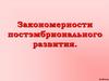 Закономерности постэмбрионального развития