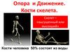 Опора и движение. Кости скелета