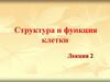 Структура и функция клетки