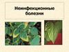 Неинфекционные болезни