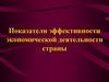 Показатели эффективности экономической деятельности страны