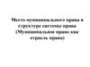 Место муниципального права в структуре системы права (Муниципальное право как отрасль права)