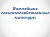Важнейшие сельскохозяйственные культуры