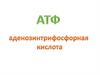 ΑΤΦ аденозинтрифосфорная кислота