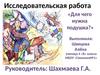 Исследовательская работа «Для чего нужна подушка?»