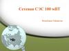 Сетевая СЭС 100 мВТ