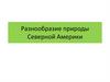 Разнообразие природы Северной Америки