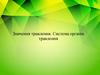 Значення травлення. Система органів травлення