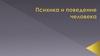 Психика и поведение человека