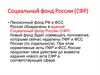 Социальный фонд России (СФР). Отчетность 2022-2023