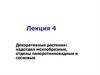 Декоративные растения: надотдел мохообразные, отделы папоротниковидные и сосновые