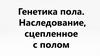 Генетика пола. Наследование, сцепленное с полом