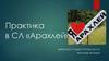 Практика в СЛ «Арахлей»
