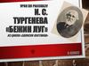 Урок по рассказу И.С. Тургенева «Бежин луг» из цикла «Записки охотника»