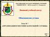 Организация и несение караульной службы. Тема № 7