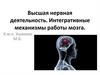 Высшая нервная деятельность. Интегративные механизмы работы мозга