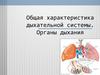 Общая характеристика дыхательной системы. Органы дыхания