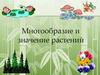 Многообразие и значение растений  (5 класс)