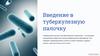 Введение в туберкулезную палочку