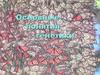 Основные понятия генетики