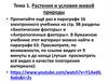 Растения и условия живой природы