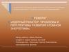 Ядерный реактор. Проблемы и перспективы развития атомной энергетики