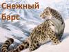 Снежный барс