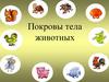 Покровы тела животных