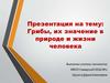 Грибы, их значение в природе и жизни человека