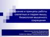 Строение и принципы работы скелетных и гладких мышц. Физиология мышечного сокращения