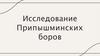 Исследование Припышминских боров