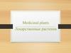 Лекарственные растения